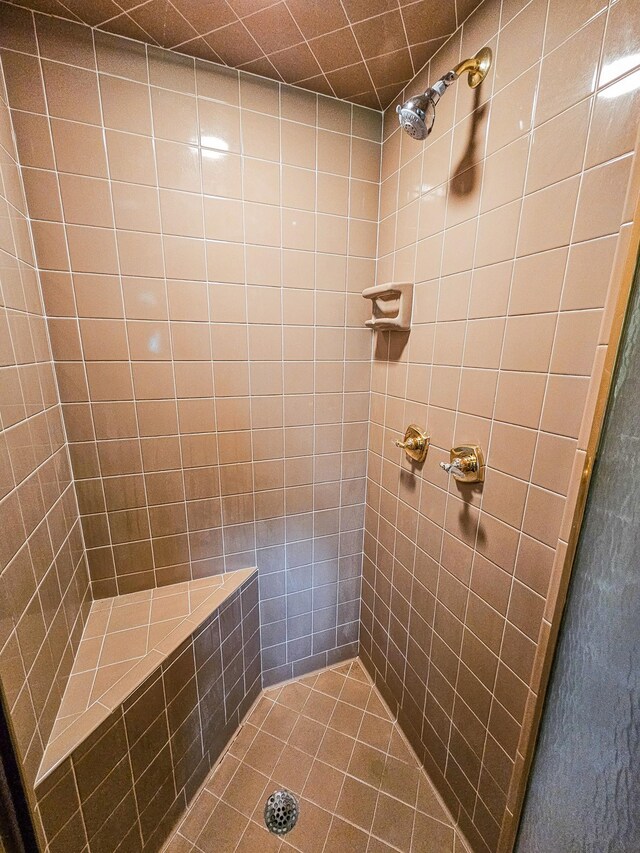 4623 Lebanon Rd, Murfreesboro, TN 37129 - full bathroom with tiled shower and tile patterned flooring