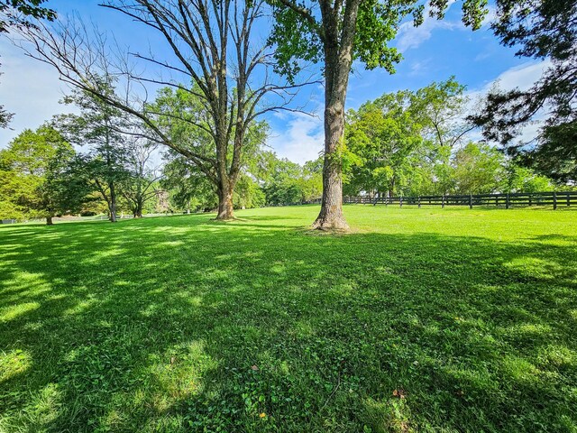 4623 Lebanon Rd, Murfreesboro, TN 37129 - view of yard