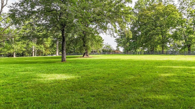 4623 Lebanon Rd, Murfreesboro, TN 37129 - view of yard
