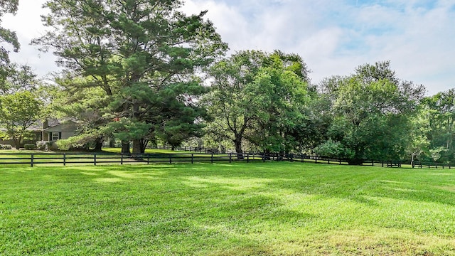 4623 Lebanon Rd, Murfreesboro, TN 37129 - view of yard