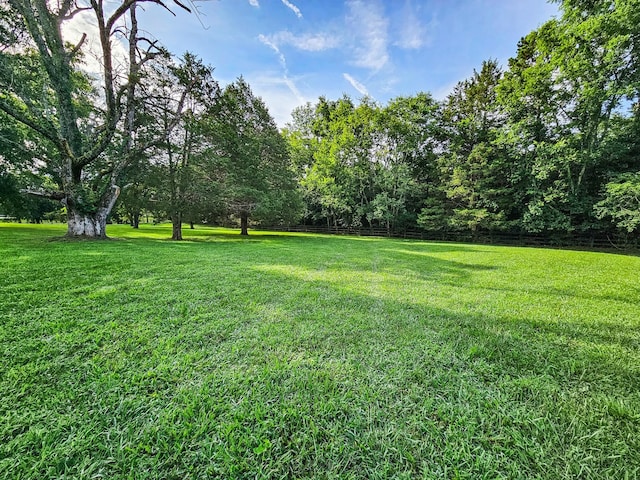 4623 Lebanon Rd, Murfreesboro, TN 37129 - view of green lawn
