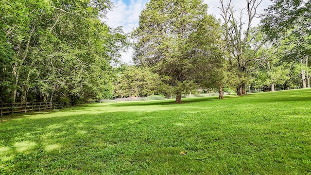 4623 Lebanon Rd, Murfreesboro, TN 37129 - view of yard