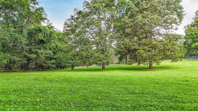 4623 Lebanon Rd, Murfreesboro, TN 37129 - view of grassy yard