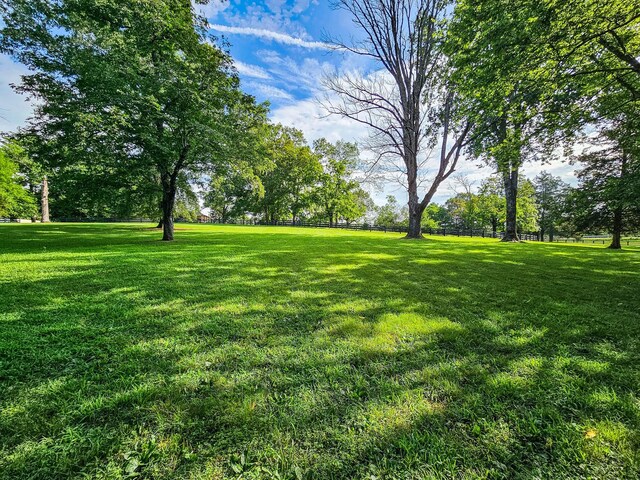 4623 Lebanon Rd, Murfreesboro, TN 37129 - view of yard