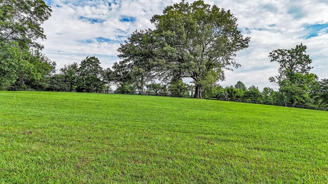 4623 Lebanon Rd, Murfreesboro, TN 37129 - view of yard
