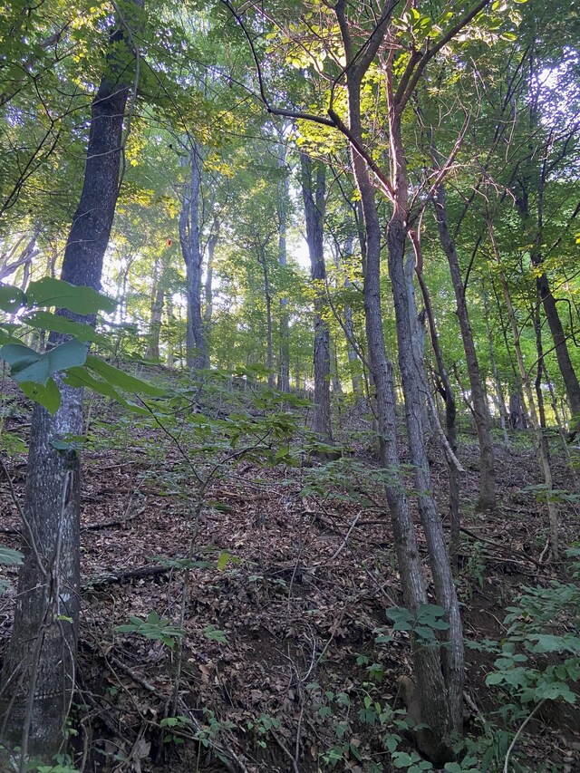 3147 Dale Ridge Rd, Dowelltown, TN 37059 - photo 7
