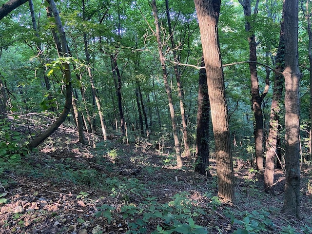 3147 Dale Ridge Rd, Dowelltown, TN 37059 - photo 4