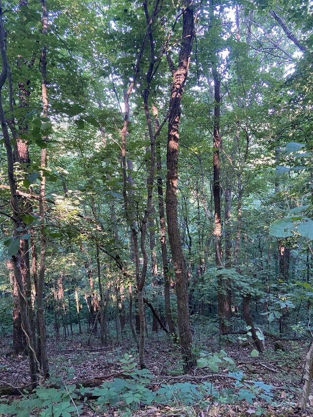 3147 Dale Ridge Rd, Dowelltown, TN 37059 - photo 11