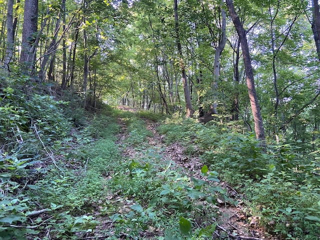 3147 Dale Ridge Rd, Dowelltown, TN 37059 - photo 3