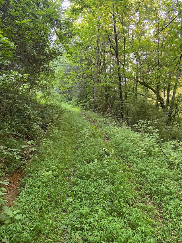 3147 Dale Ridge Rd, Dowelltown, TN 37059 - photo 8