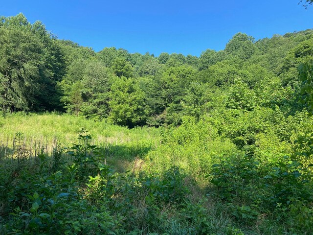 3147 Dale Ridge Rd, Dowelltown, TN 37059 - photo 15