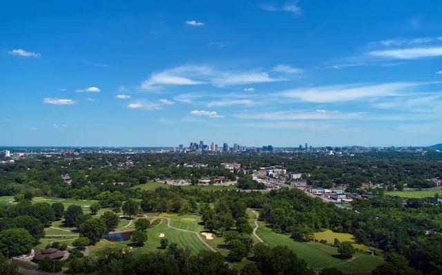 112 Scenic Pass, Nashville, TN 37218 - photo 21