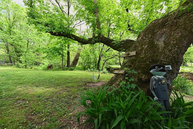 4411 Jackson Rd, Nashville, TN 37207 - photo 35