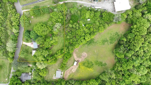 4411 Jackson Rd, Nashville, TN 37207 - photo 4