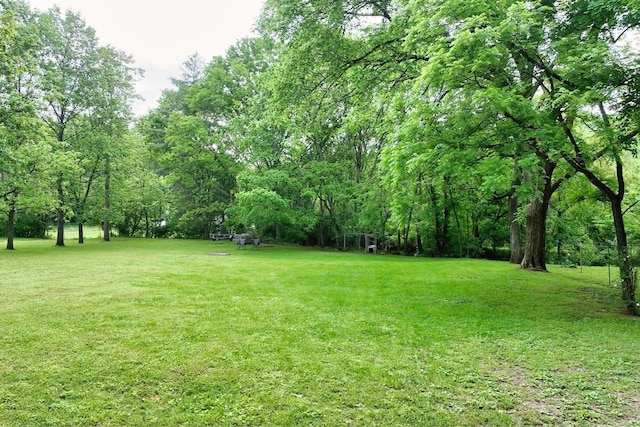 4411 Jackson Rd, Nashville, TN 37207 - photo 58