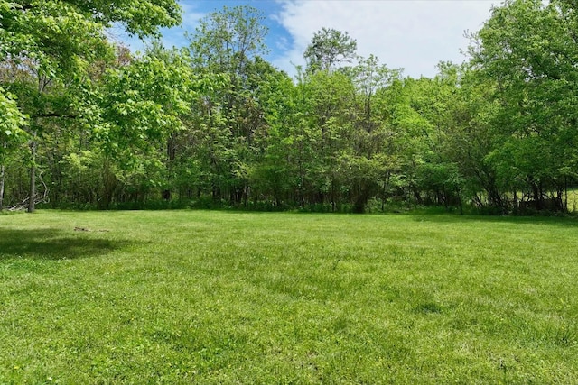 4411 Jackson Rd, Nashville, TN 37207 - photo 46