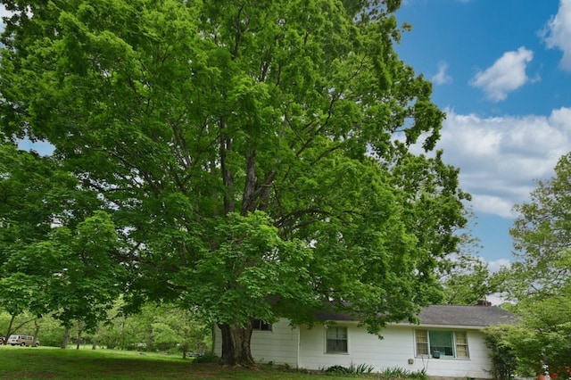 4411 Jackson Rd, Nashville, TN 37207 - photo 28