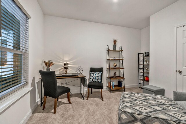2326 Laurelstone Dr, Murfreesboro, TN 37130 - bedroom with carpet and an office area