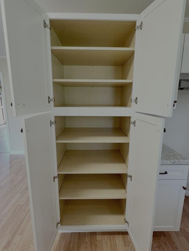 210 Roney Dr, Hopkinsville, KY 42240 - view of pantry