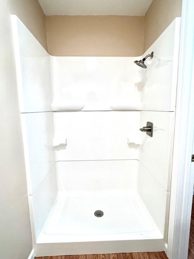 210 Roney Dr, Hopkinsville, KY 42240 - bathroom with a shower