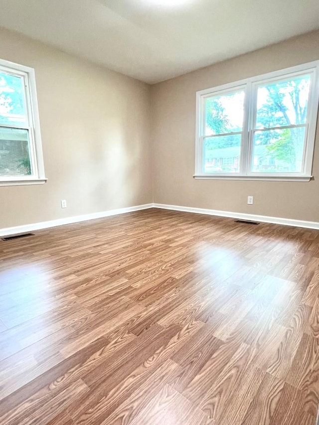 210 Roney Dr, Hopkinsville, KY 42240 - unfurnished room with plenty of natural light and wood finished floors