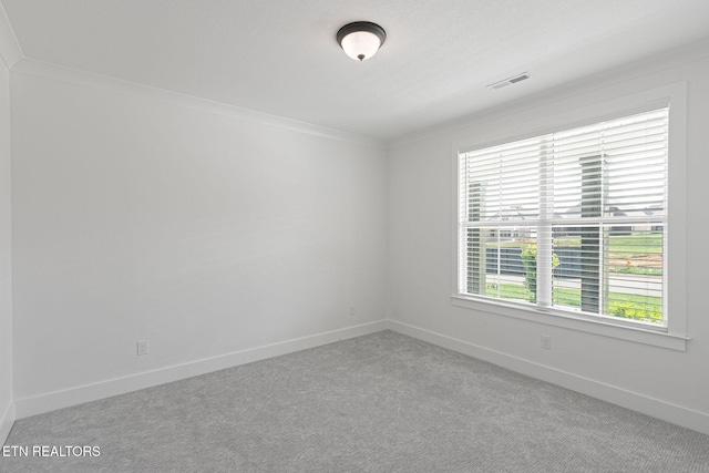 12027 Deer Crossing Dr, Knoxville, TN 37932 - photo 17