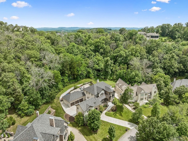 111 Guineveres Retreat, Franklin, TN 37067 - photo 47