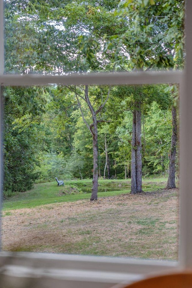 8014 Shoals Branch Rd, Primm Springs, TN 38476 - view of yard