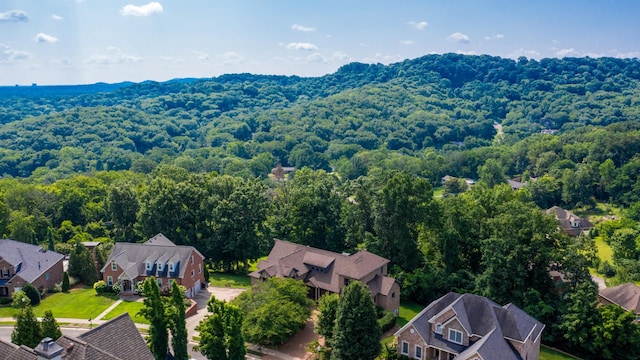 808 Saussy Ct, Nashville, TN 37205 - photo 52