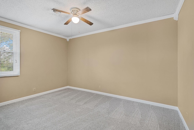 460 W Campbell Rd, Goodlettsville, TN 37072 - photo 15