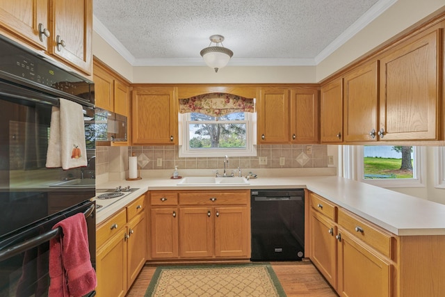 460 W Campbell Rd, Goodlettsville, TN 37072 - photo 26