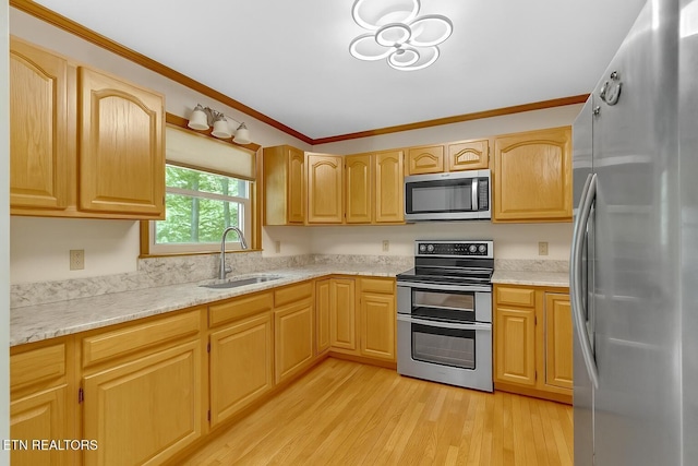 764 Heck Branch Rd, Rogersville, TN 37857 - photo 3