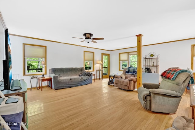 764 Heck Branch Rd, Rogersville, TN 37857 - photo 47