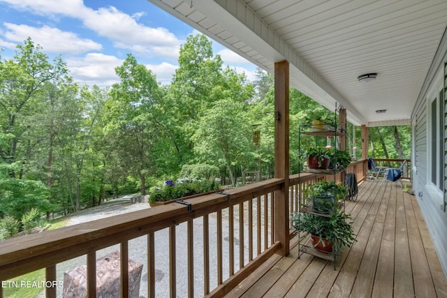 764 Heck Branch Rd, Rogersville, TN 37857 - photo 29