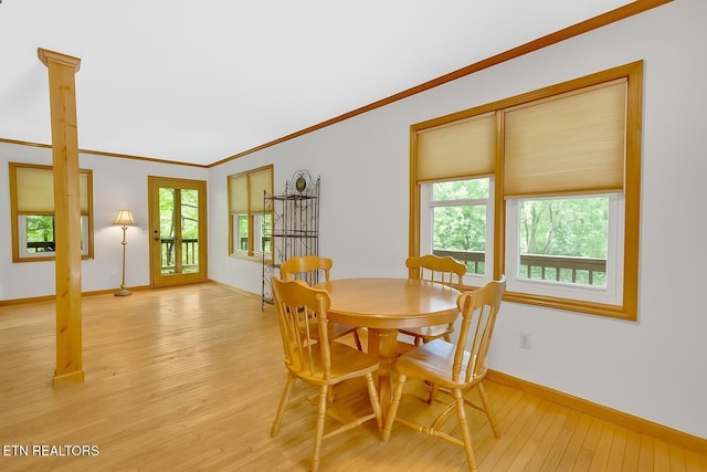 764 Heck Branch Rd, Rogersville, TN 37857 - photo 5