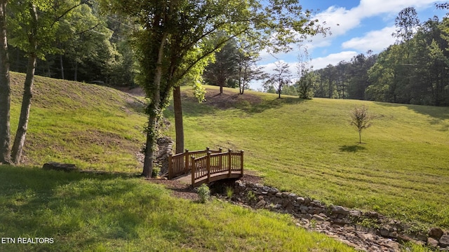 764 Heck Branch Rd, Rogersville, TN 37857 - photo 36