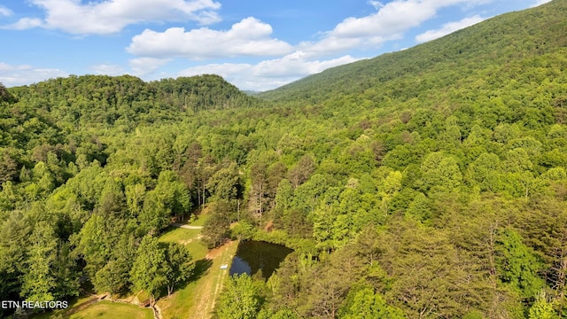 764 Heck Branch Rd, Rogersville, TN 37857 - photo 39