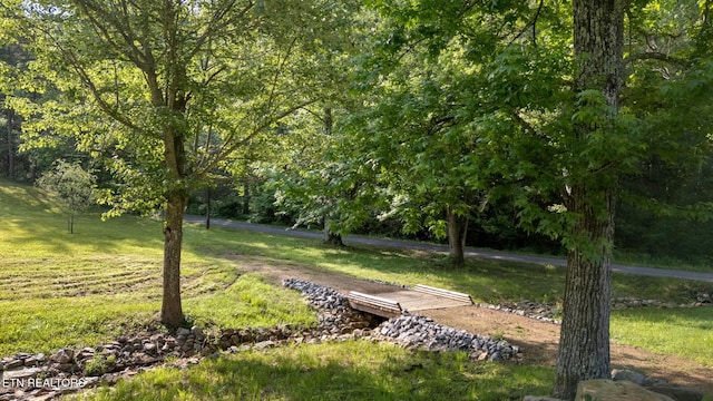 764 Heck Branch Rd, Rogersville, TN 37857 - photo 38