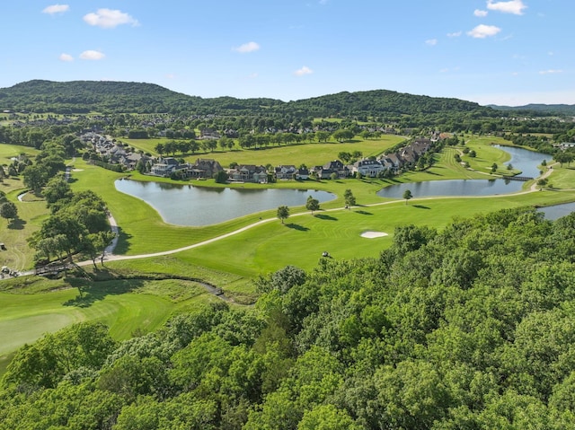 8817 Drosera Cir, College Grove, TN 37046