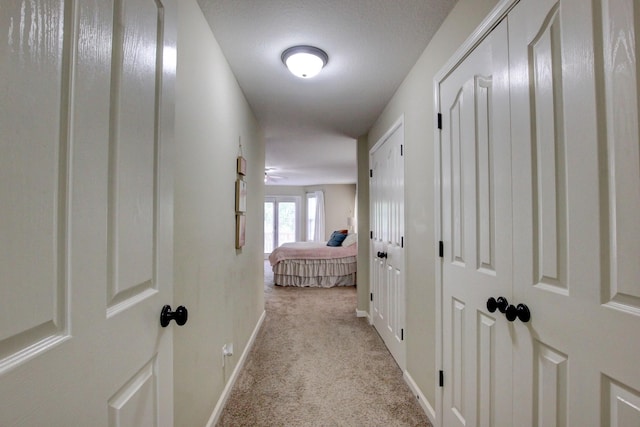 395 Mcadoo Creek Rd, Clarksville, TN 37043 - photo 19