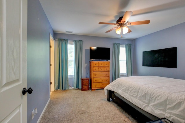 395 Mcadoo Creek Rd, Clarksville, TN 37043 - photo 49