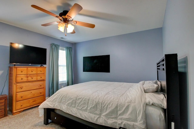 395 Mcadoo Creek Rd, Clarksville, TN 37043 - photo 50