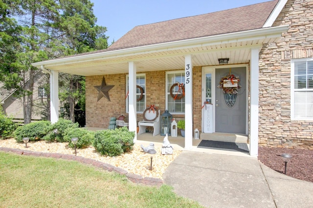395 Mcadoo Creek Rd, Clarksville, TN 37043 - photo 2