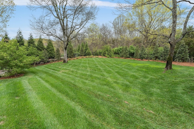 110 Woodward Hills Pl, Brentwood, TN 37027 - photo 72