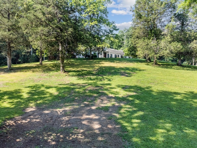 2320 Ovoca Rd, Tullahoma, TN 37388 - photo 15