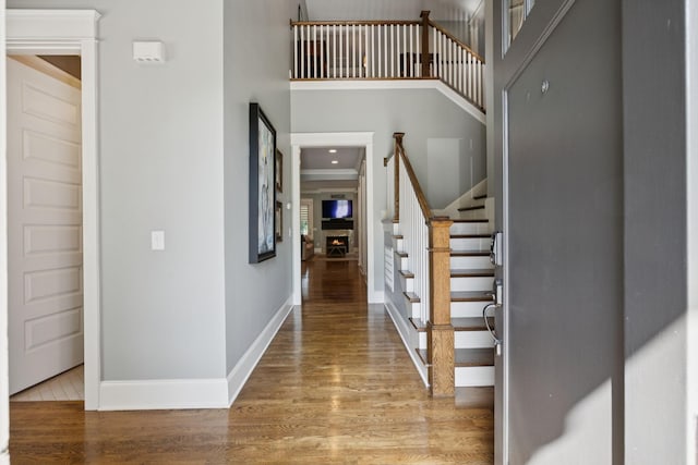 4127 General Bate Dr, Nashville, TN 37204 - photo 5