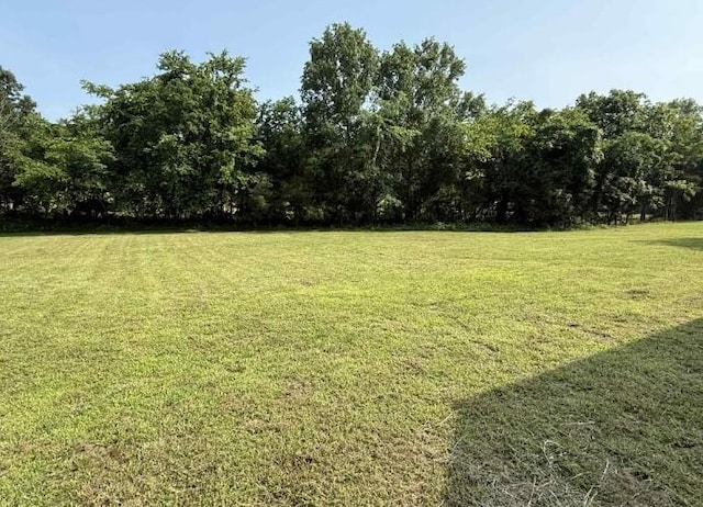 51 Bluff Creek Rd, Brush Creek, TN 38547 - photo 9