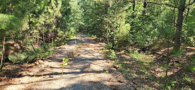 0 Aaron Ln, Nunnelly, TN 37137