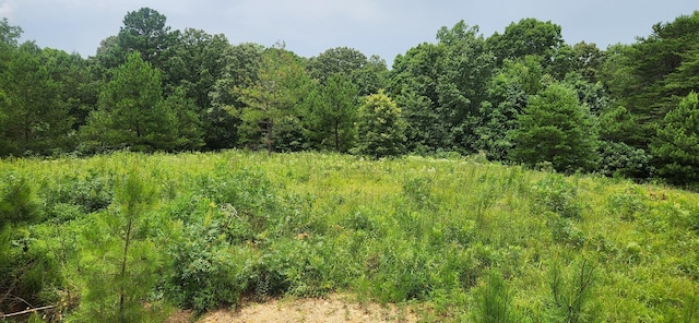 0 Aaron Ln, Nunnelly, TN 37137