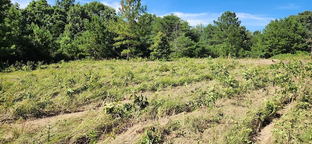 0 Aaron Ln, Nunnelly, TN 37137